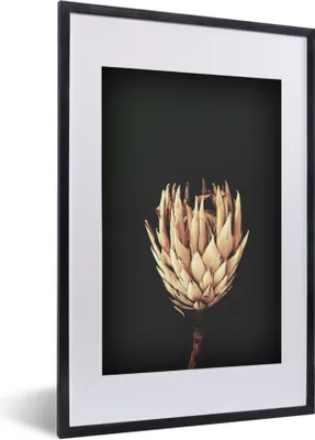 Produktbild von MuchoWow® Gerahmtes Poster Blume - Exotisch - Stilleben 40x60 cm - Poster mit Schwarzem Bilderrahmen Wandposter Rahmen Foto Bilder - Poster in Rahmen