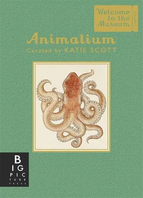 Produktbild von Animalium (Mini Gift Edition)