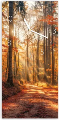 Produktbild von Wanduhr aus Glas mit Motiv Herbstlicher Waldweg- 30 x 60 cm - inkl. Aufhängesystem