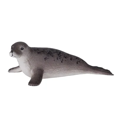 Immagine prodotto di Mojo 387091 Animal Planet foca grigia circa 11 x 5,5 x 3 cm