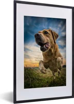 Produktbild von MuchoWow® MuchoWow® Gerahmtes Poster Bunter Himmel über diesem Labrador Retriever 40x60 cm - Poster mit zchwarzem Bilderrahmen - Poster in Rahmen