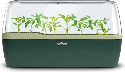 Artikelbild 1 von 'BoQube L Plus Gewächshaus & Pflanzsystem moosgrün-schilfgrün'