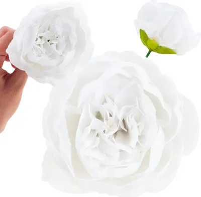 Image de Pivoine Produit Pivoine Tête de fleur Pour bouquets de roseaux