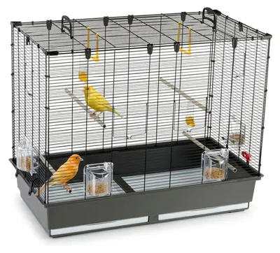 Immagine prodotto di Ferplast Piano Cage 6 Nero