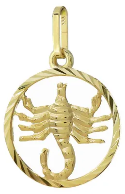 Produktbild von NKlaus Skorpion Kettenanhänger, 333 Gelbgold, 8 Karat, 15mm
