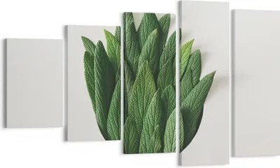 Produktbild von Bild auf Leinwand - Leinwandbild - 5 Teile - Salbei Medizin Blätter - 100x60cm - Wand Bild - Wanddeko - Wandbilder - Leinwanddruck - Bilder - Wanddekoration - Leinwand bilder - EG100x60-4859