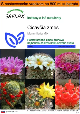 Obrázok produktu pre SAFLAX Garden in the bag - Cicavčia zmes - Mammilaria Mix - 40 Semená - S pestovateľským substrátom v praktickom samostaviteľnom vrecku