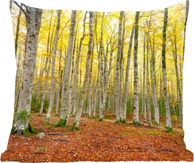 Produktbild von MuchoWow® Zierkissen Sofakissen Wohnzimmer Dekokissen 45x45 cm Wald - Bäume - Gelb - Schlafpolster - Polster für das Sofa