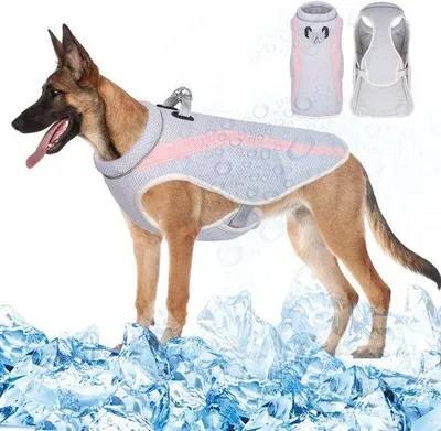 Produktbild von Famanu Kühlweste für Hunde mit Geschirr - Rosa, für kleine bis große Hunde