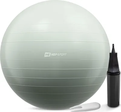 Obrázek produktu pro Gymnastický míč s pumpou 65 cm zelený