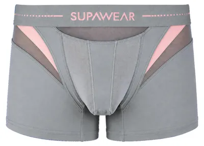Image de SUPAWEAR - Sous-vêtement Boxeur ajusté Hommes - SPR Neo Trunk Grey - 1x Taille L