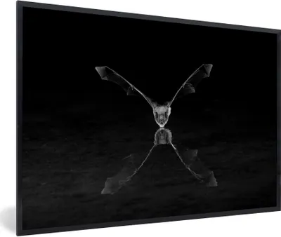 Produktbild von MuchoWow® Gerahmtes Poster Trinkende Fledermaus - schwarz und weiß 90x60 cm - Poster mit Schwarzem Bilderrahmen Wandposter Rahmen Foto Bilder - Fotorahmen - Foto-Plakat