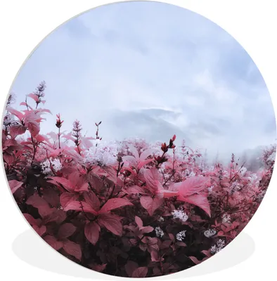 Produktbild von MuchoWow® Rundes Wandbild - Runde Bilder Blumen im Nebel Ø 60 cm Kreis Wanddekoration Kunststoff - Wandkreis - Wandschmuck - Wand Kreis - Das Schlafzimmer - Die Bilder - Wandmalerei - Kunst für das Haus - das Plastik