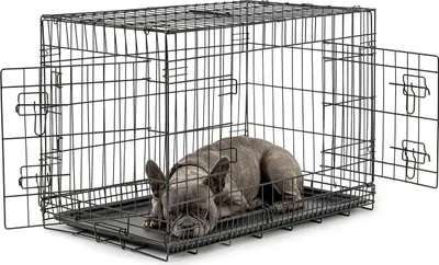 Produktbild von Lionto Hundetransportkäfig L Tiertransportbox Hundebox Crates Robust