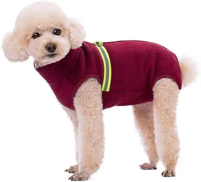 Produktbild von Warme Hundemantel, rote Fleecejacke, Winterkleidung für Welpen, kleine Größe
