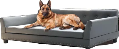 Zdjęcie produktu dla Sofa dla zwierząt, Wygodna konstrukcja, Solidna konstrukcja, XL