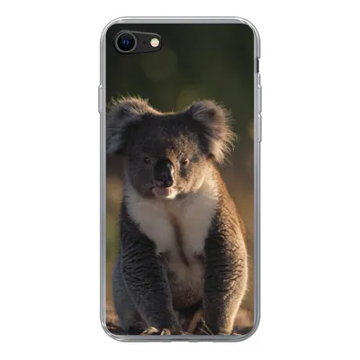Produktbild von MuchoWow® Handyhülle Schutzhülle Hülle für iPhone SE 2020 Koala - Sonne - Tier - Kinder - Jungen - Mädchen Silikon Softcase Handy Hülle - Kartenbesitzer