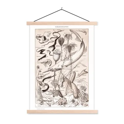 Produktbild von MuchoWow® Textilposter Meerestiere - Meer - Schwarz - Weiß 40x53 cm mit holzfarbenen Rahmen - Schlafzimmer