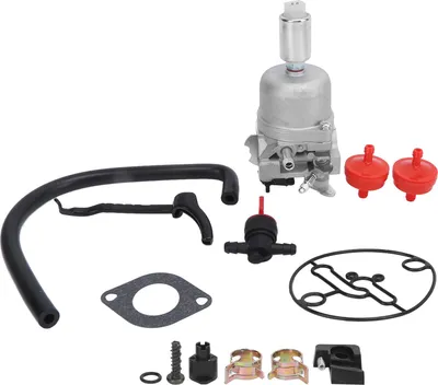 Image de Kit carburateur 495935, remplacement pour Intek BS 14 CV, 15 CV, 16 CV, 17 CV, 18 CV, tracteurs