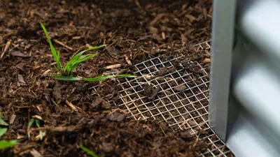 Produktbild von Pergart Mäusegitter Draneo für Hoch- und Innenbeete