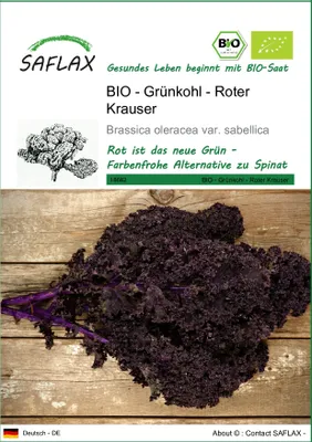 Produktbild von SAFLAX - BIO - Grünkohl - Roter Krauser - 50 Samen - Brassica oleracea