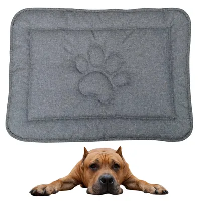A dog lying on a dog mat.