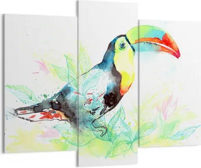 Produktbild von Bild auf Leinwand - Leinwandbild - Vogel Toucan Neugier wild - 130x100cm - Wand Bild - Wanddeko - Leinwanddruck - Bilder - Kunstdruck - Wanddekoration - Leinwand bilder - Wandkunst - CB130x100-2991