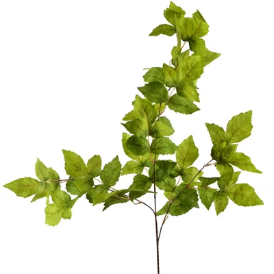 Productafbeelding van Kunstzweig, kunststof, Mondex, Viridis, 100 cm, groen, 1 stuk