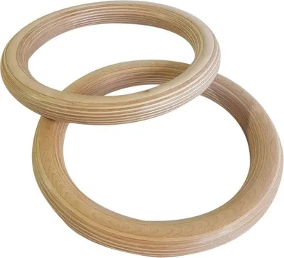 Image de Set d'anneaux de gymnastique Sveltus