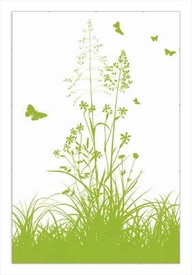 Produktbild von Wallario Wandbild Grüne Sommerwiese, Größe: 61 x 91,5 cm, Poster mit rahmenlosen Bildhalter