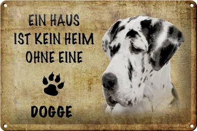 Produktbild von Blechschild Spruch 30x20cm Dogge Hund ohne kein Heim