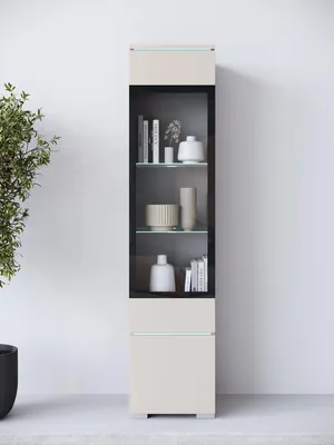 Produktbild von MINIO go for it, VEVE 02, Vitrine, mit LED Beleuchtung Hängeschrank oder Standvitrine, modern, Glasvitrine, Kaschmirbeige Farbe
