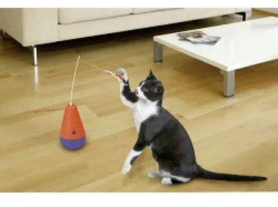 Produktbild von Karlie Katze Kitty Snippy Ferngesteuert Katzenspielzeug, Spielangel Bewegung
