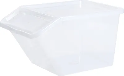 Immagine prodotto di plast team22870800 plast team box BASIC BOX SLANTED, 40 litri