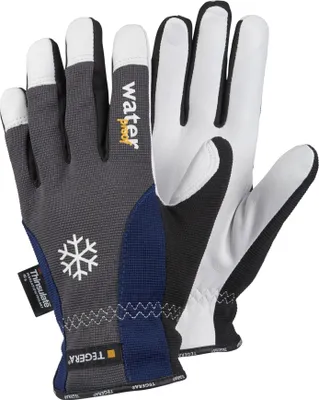 A pair of winter gloves is displayed against a white background.