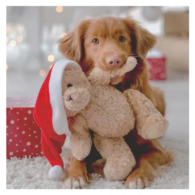 Immagine prodotto di Tovaglioli Duni Woof 33x33cm