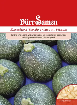 Artikelbild 1 von 'Zucchini Tondo chiaro di Nizza' aus der Kategorie Zucchinisamen