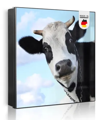 Zdjęcie produktu dla banjado metalowa szafka na klucze, duża 30x30 cm z 32 haczykami, może służyć jako tablica magnetyczna, czarny korpus, zawias po prawej stronie, Muh [SKG1 10104]
