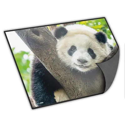 Produktbild von itenga Schreibunterlage Panda 400 x 530 mm