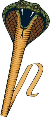 Produktbild von Cobra Einleinerdrachen