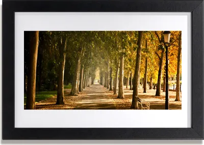 Produktbild von Bild 30x20 MDF-Rahmen Wandkunst Alley Park Landschaft