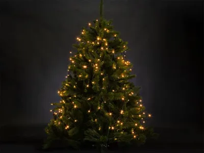 Produktbild von Vellight ATRIA Baummantel, Weihnachtsbaumbeleuchtung für Bäume bis 1,8 m, Arizona-Weiß, verzaubernd