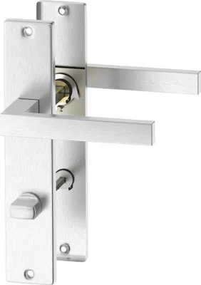 A close-up studio shot of a brushed metal door handle set with a long escutcheon plate.