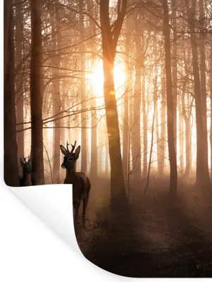 Produktbild von MuchoWow® Wandtattoo Wandsticker Wandaufkleber Wald - Hirsche - Sonne - Bäume - Winter - Natur - Tiere 90x120 cm Selbstklebend und Repositionierbar - Faltenfrei