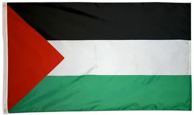 Zdjęcie produktu dla Go Go Gadget – Flaga Palestyny – 90 x 150 cm