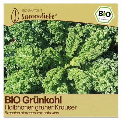 Produktbild von Samenliebe  Grünkohl Samen | Halbhoher grüner Krauser - winterhart & zweijährig & halbhoch & robust - samenfestes  Saatgut