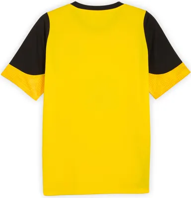 Produktbild von PUMA BVB Training Jersey BRIGHT WHITE BRIGHT WHITE M