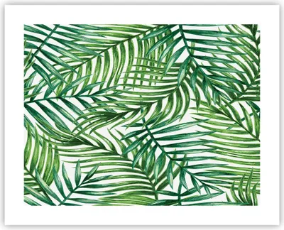 Produktbild von Poster - Poster ohne Rahmen - Palme Blatt grün - 50x40 cm - Wand Bild - Wanddeko - Wandbilder - Kunstposter - Wandposter - Bilder - Kunstdruck - Wanddekoration - Wandbild - P2XAA50x40-3777