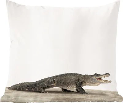 Produktbild von MuchoWow® Zierkissen Sofakissen Wohnzimmer Dekokissen 60x60 cm Kinder - Krokodil - Junge - Kinder - Mädchen - Sitzfläche - Foto Polster