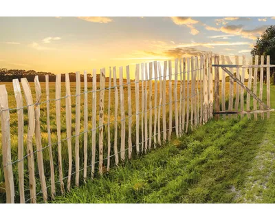 Produktbild von Floraworld Zaunpfosten Natur Haselnuss 150 cm natur